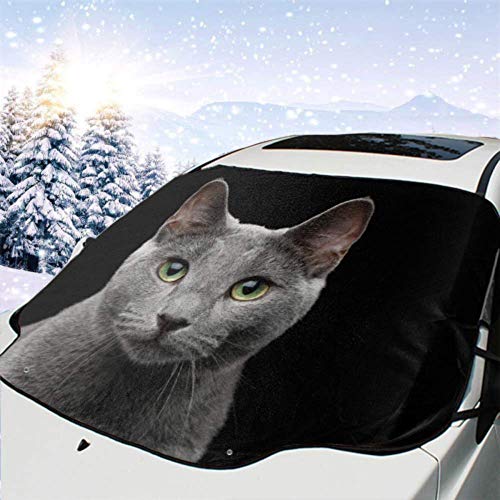 FETEAM Visera de sombrilla automática para Parabrisas Delantero Impermeable Retrato Primer Plano Gato Azul Ruso Impresionante Protector protección FETEAM Visera de sombrilla automática para Parabrisas Delantero Impermeable Retrato Primer Plano Gato Azul Ruso Impresionante Protector protección
