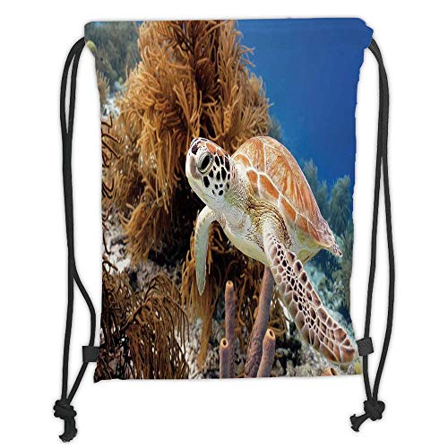 Fevthmii Drawstring Backpacks Bags,Turtle,Coral Reef and Sea Turtle Close Up Photo Bonaire Island Waters Maritime,Light Coffee Brown Blue Soft Satin,5 Liter Capacity,Adjustable String Closu