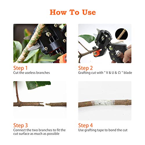 Fimghsoo Tijera de Injerto Profesional Kit Jardín Injerto Tijeras de Podar con 3 Cuchillas Corte de Forma V/U/Ω para Injertos Planta Árboles Frutales Ramas Bonsai Fimghsoo Tijera de Injerto Profesional Kit Jardín Injerto Tijeras de Podar con 3 Cuchillas Corte de Forma V/U/Ω para Injertos Planta Árboles Frutales Ramas Bonsai