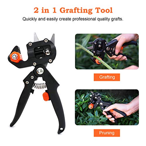Fimghsoo Tijera de Injerto Profesional Kit Jardín Injerto Tijeras de Podar con 3 Cuchillas Corte de Forma V/U/Ω para Injertos Planta Árboles Frutales Ramas Bonsai Fimghsoo Tijera de Injerto Profesional Kit Jardín Injerto Tijeras de Podar con 3 Cuchillas Corte de Forma V/U/Ω para Injertos Planta Árboles Frutales Ramas Bonsai