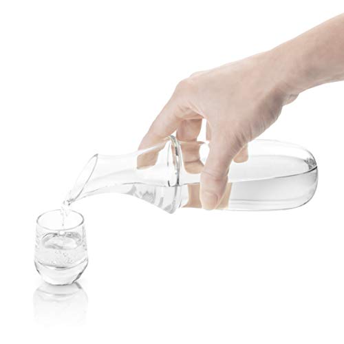 Final Touch Saké - Botella de decantador doble con cámara para mantener el líquido caliente o frío, diseño único - individual