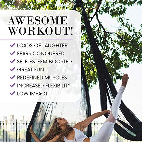 Findema Juego de Hamacas de Yoga Aéreo Baile Acrobático Tejido De Seda Swing para Volar en Casa con Mosquetón Cadena De Margaritas para Yoga Pilates Antigravedad Findema Juego de Hamacas de Yoga Aéreo Baile Acrobático Tejido De Seda Swing para Volar en Casa con Mosquetón Cadena De Margaritas para Yoga Pilates Antigravedad