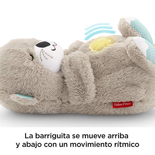 Fisher-Price FXC66 - Nutria Hora de Dormir, Juguete de Cuna y Peluche para Bebé Recién Nacido Fisher-Price FXC66 - Nutria Hora de Dormir, Juguete de Cuna y Peluche para Bebé Recién Nacido