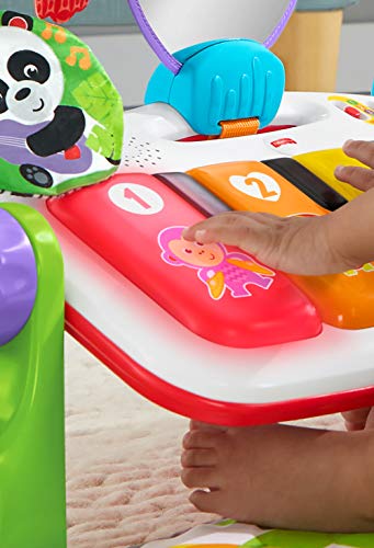 Fisher-Price Gimnasio Piano Pataditas superaprendizaje, manta de juego para bebé recién nacido (Mattel GXC37) Fisher-Price Gimnasio Piano Pataditas superaprendizaje, manta de juego para bebé recién nacido (Mattel GXC37)