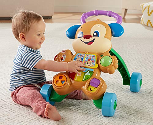 Fisher-Price Ríe y Aprende - Andador Perrito Primeros Pasos, Correpasillos Bebé +6 meses (Mattel FRC85)