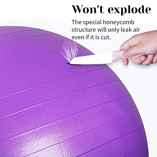 Fitness Pelota de Ejercicio, ZoneYan Pelota de Yoga Embarazo, Pelota de Pilates 55 Cm/65 Cm/75 Cm con Inflador, Anti Explosión, Antideslizante, Púrpura, Silla de Bola de Oficina, Fitness en Casa Fitness Pelota de Ejercicio, ZoneYan Pelota de Yoga Embarazo, Pelota de Pilates 55 Cm/65 Cm/75 Cm con Inflador, Anti Explosión, Antideslizante, Púrpura, Silla de Bola de Oficina, Fitness en Casa