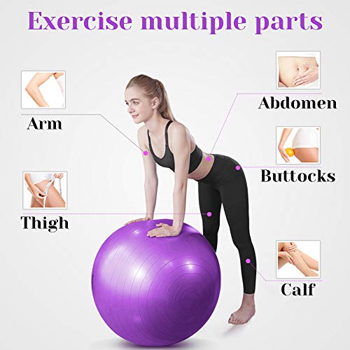 Fitness Pelota de Ejercicio, ZoneYan Pelota de Yoga Embarazo, Pelota de Pilates 55 Cm/65 Cm/75 Cm con Inflador, Anti Explosión, Antideslizante, Púrpura, Silla de Bola de Oficina, Fitness en Casa Fitness Pelota de Ejercicio, ZoneYan Pelota de Yoga Embarazo, Pelota de Pilates 55 Cm/65 Cm/75 Cm con Inflador, Anti Explosión, Antideslizante, Púrpura, Silla de Bola de Oficina, Fitness en Casa