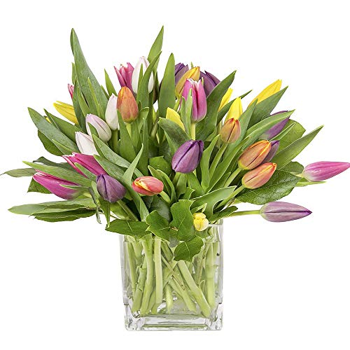 Florclick - Ramo de 15 Tulipanes con tarjeta dedicatoria gratuita. Flores frescas entrega en 24 horas