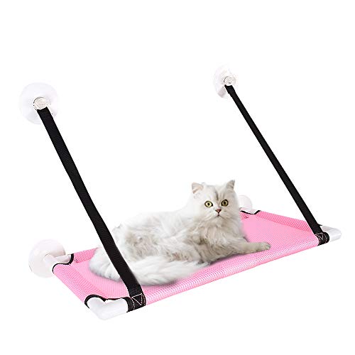 Galapara Ventana de Gato Cama de Hamaca con Percha de enfriamiento Cubierta Transpirable Ventosas de Ventana Asiento Estantes para Gatos Cama de Hamaca para Gatos Sostener hasta 10 kg 22 LB Galapara Ventana de Gato Cama de Hamaca con Percha de enfriamiento Cubierta Transpirable Ventosas de Ventana Asiento Estantes para Gatos Cama de Hamaca para Gatos Sostener hasta 10 kg 22 LB