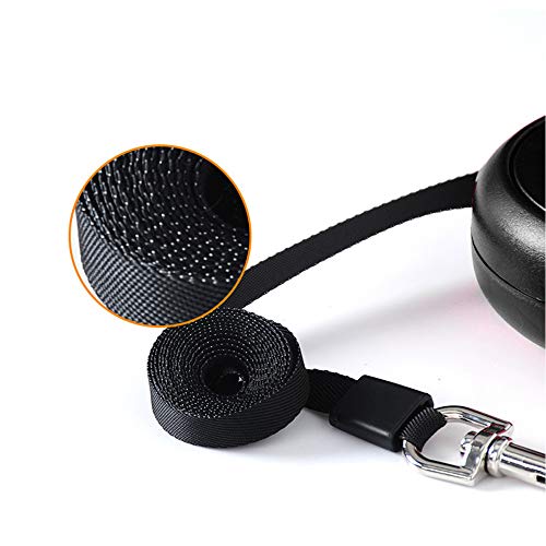 Galaxer Correa para Perros, 5M Mascota Correa Retractil de Nylon para Perro Correa Extensible con un Botón de Rotura y Bloqueo y Cómodo Agarre de la Man para Entrenar a Pie o Trotar Galaxer Correa para Perros, 5M Mascota Correa Retractil de Nylon para Perro Correa Extensible con un Botón de Rotura y Bloqueo y Cómodo Agarre de la Man para Entrenar a Pie o Trotar