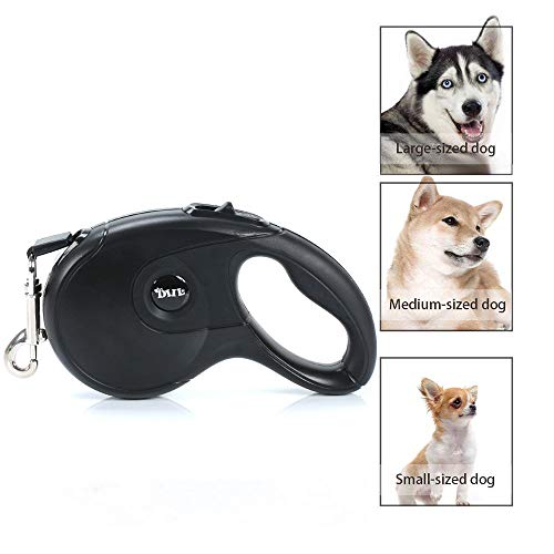 Galaxer Correa para Perros, 5M Mascota Correa Retractil de Nylon para Perro Correa Extensible con un Botón de Rotura y Bloqueo y Cómodo Agarre de la Man para Entrenar a Pie o Trotar Galaxer Correa para Perros, 5M Mascota Correa Retractil de Nylon para Perro Correa Extensible con un Botón de Rotura y Bloqueo y Cómodo Agarre de la Man para Entrenar a Pie o Trotar