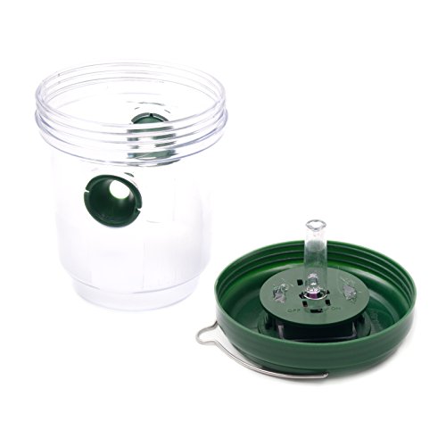 Gardigo Trampa Para Avispas Abeja Moscas Avispón y Insectos, 2 Unidades Gardigo Trampa Para Avispas Abeja Moscas Avispón y Insectos, 2 Unidades