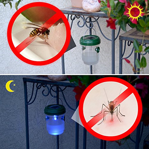 Gardigo Trampa Para Avispas Abeja Moscas Avispón y Insectos, 2 Unidades Gardigo Trampa Para Avispas Abeja Moscas Avispón y Insectos, 2 Unidades