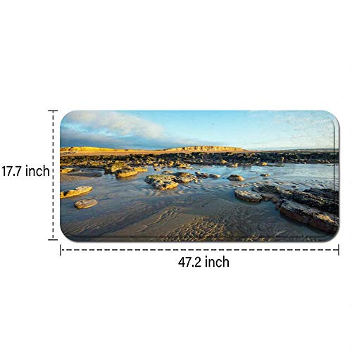 GEEVOSUN Tocones Canal Árbol Inglés Marea Restos Cortados Acantilados Petrificados Bosque Formado Alfombrillas de Cocina Antideslizantes Felpudo Lavable Juego de Alfombras de Microfibra GEEVOSUN Tocones Canal Árbol Inglés Marea Restos Cortados Acantilados Petrificados Bosque Formado Alfombrillas de Cocina Antideslizantes Felpudo Lavable Juego de Alfombras de Microfibra