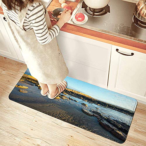GEEVOSUN Tocones Canal Árbol Inglés Marea Restos Cortados Acantilados Petrificados Bosque Formado Alfombrillas de Cocina Antideslizantes Felpudo Lavable Juego de Alfombras de Microfibra GEEVOSUN Tocones Canal Árbol Inglés Marea Restos Cortados Acantilados Petrificados Bosque Formado Alfombrillas de Cocina Antideslizantes Felpudo Lavable Juego de Alfombras de Microfibra