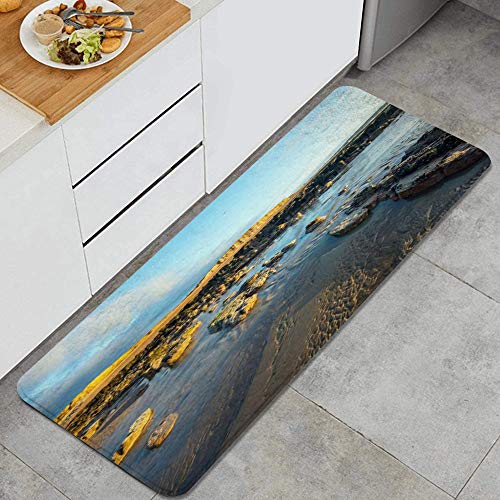 GEEVOSUN Tocones Canal Árbol Inglés Marea Restos Cortados Acantilados Petrificados Bosque Formado Alfombrillas de Cocina Antideslizantes Felpudo Lavable Juego de Alfombras de Microfibra GEEVOSUN Tocones Canal Árbol Inglés Marea Restos Cortados Acantilados Petrificados Bosque Formado Alfombrillas de Cocina Antideslizantes Felpudo Lavable Juego de Alfombras de Microfibra