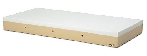 Gerialife Colchón Geriátrico Hospitalario Articulado | 5 cm de Viscoelástica | Funda Sanitaria Impermeable (90x190) Gerialife Colchón Geriátrico Hospitalario Articulado | 5 cm de Viscoelástica | Funda Sanitaria Impermeable (90x190)