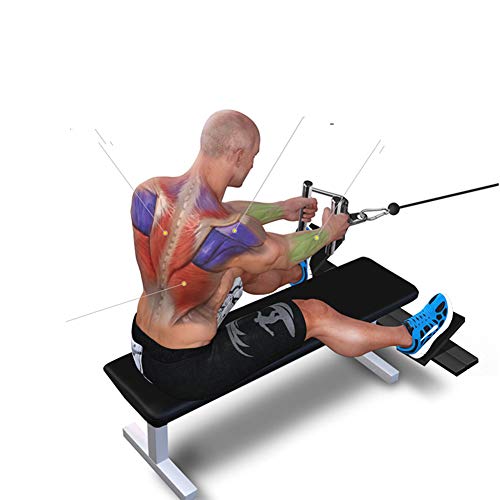 Gimnasio en casa Accesorios, Cuerda para tríceps, Agarres Poleas Gym, Mango de Resistencia para Ejercicios, Mosquetón, Equipo Deportivo de Entrenamiento de Fuerza Gimnasio en casa Accesorios, Cuerda para tríceps, Agarres Poleas Gym, Mango de Resistencia para Ejercicios, Mosquetón, Equipo Deportivo de Entrenamiento de Fuerza