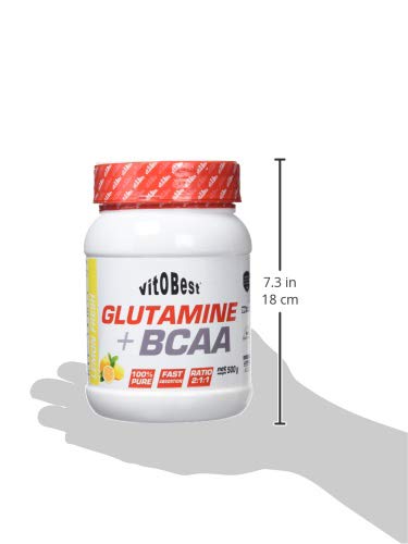 GLUTAMINE + BCAA - Suplementos Alimentación y Suplementos Deportivos - Vitobest (Limón, 500g) GLUTAMINE + BCAA - Suplementos Alimentación y Suplementos Deportivos - Vitobest (Limón, 500g)