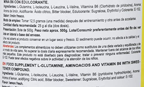 GLUTAMINE + BCAA - Suplementos Alimentación y Suplementos Deportivos - Vitobest (Limón, 500g)