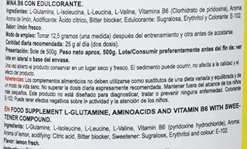 GLUTAMINE + BCAA - Suplementos Alimentación y Suplementos Deportivos - Vitobest (Limón, 500g) GLUTAMINE + BCAA - Suplementos Alimentación y Suplementos Deportivos - Vitobest (Limón, 500g)