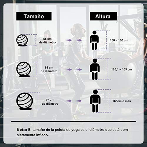 Glymnis Pelota de Ejercicio Pelota Anti-Burst para Pilates Gimnasia Fitness Equilibrio Yoga Embarazo 55cm 65cm 75cm con Hinchador Púrpura (65cm)