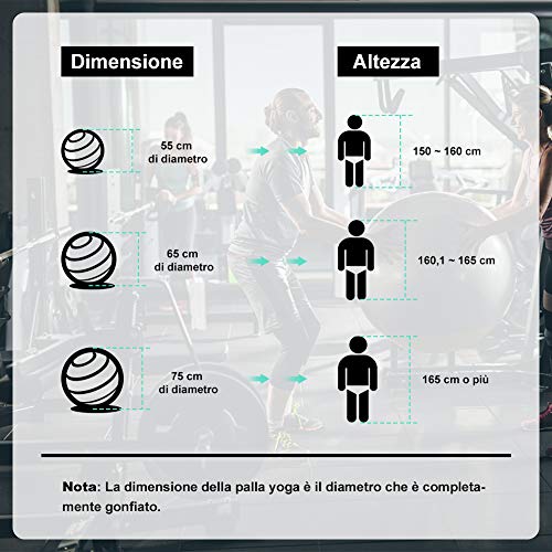 Glymnis Pelota de gimnasia - Antiestallido [Carga máxima de 450 kg] con bomba rápida, perfecta para pilates, entrenamiento, yoga y fitness [Verde menta - 55cm]