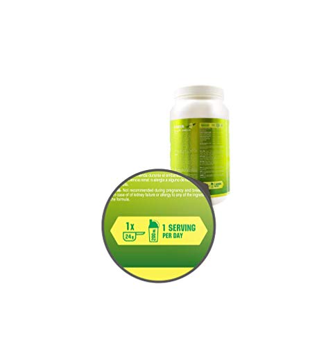 Goldnutrition V-Protein 1kg, Vainilla Suave, Proteína Vegetal Goldnutrition V-Protein 1kg, Vainilla Suave, Proteína Vegetal
