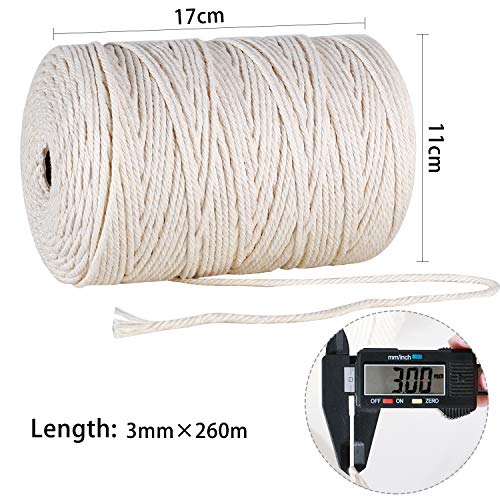 GoMaihe Macrame Cuerda, 3mm x 260m Cordón Hilo de Algodón Natural Colgante de Pared de Macramé, Bricolaje Artesanía Colgante de Pared Colgador de Planta Tejido Cordón Tejer Decoración Envolver, Beige