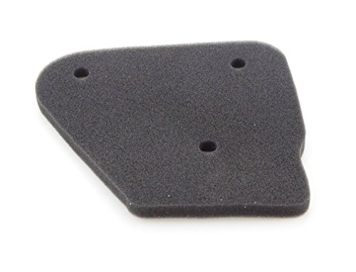GOOFIT Elemento de Filtro de Aire para JOG 50/90cc 2-Tiempos Scooters ATVs GOOFIT Elemento de Filtro de Aire para JOG 50/90cc 2-Tiempos Scooters ATVs