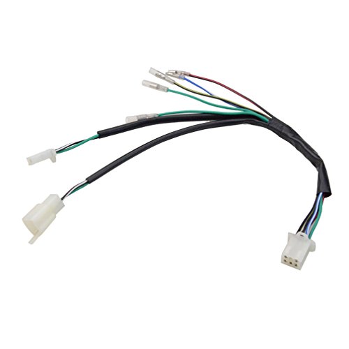 GOOFIT Kit de arnés de cableado reconstruido de encendido para 50cc 70cc 90cc 110cc 125cc Stator CDI Coil ATV Quad Bike Buggy Go Kart GOOFIT Kit de arnés de cableado reconstruido de encendido para 50cc 70cc 90cc 110cc 125cc Stator CDI Coil ATV Quad Bike Buggy Go Kart