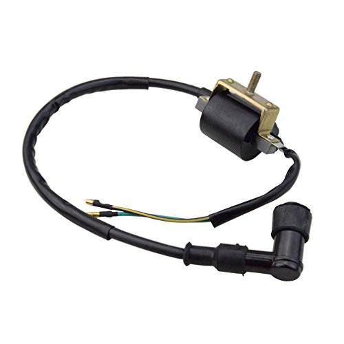 GOOFIT Kit de arnés de cableado reconstruido de encendido para 50cc 70cc 90cc 110cc 125cc Stator CDI Coil ATV Quad Bike Buggy Go Kart GOOFIT Kit de arnés de cableado reconstruido de encendido para 50cc 70cc 90cc 110cc 125cc Stator CDI Coil ATV Quad Bike Buggy Go Kart
