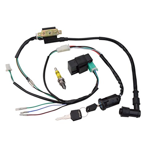 GOOFIT Kit de arnés de cableado reconstruido de encendido para 50cc 70cc 90cc 110cc 125cc Stator CDI Coil ATV Quad Bike Buggy Go Kart GOOFIT Kit de arnés de cableado reconstruido de encendido para 50cc 70cc 90cc 110cc 125cc Stator CDI Coil ATV Quad Bike Buggy Go Kart