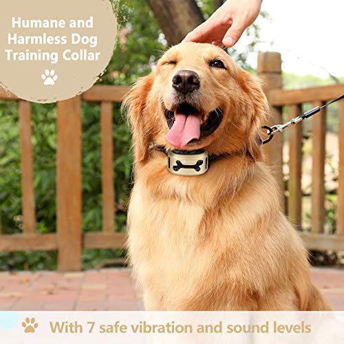 GoPetee Collar Antiladridos Recargable para Perros Pequeños Medianos y Grandes Collar Adiestramiento Recargable para Perros Sonidos y Vibraciones Audibles Chip Avanzado (Hueso) GoPetee Collar Antiladridos Recargable para Perros Pequeños Medianos y Grandes Collar Adiestramiento Recargable para Perros Sonidos y Vibraciones Audibles Chip Avanzado (Hueso)