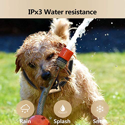 GoPetee Collar Antiladridos Recargable para Perros Pequeños Medianos y Grandes Collar Adiestramiento Recargable para Perros Sonidos y Vibraciones Audibles Chip Avanzado (Hueso) GoPetee Collar Antiladridos Recargable para Perros Pequeños Medianos y Grandes Collar Adiestramiento Recargable para Perros Sonidos y Vibraciones Audibles Chip Avanzado (Hueso)