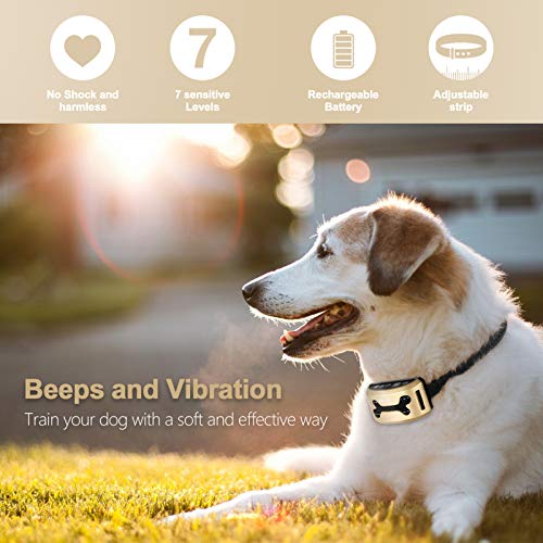 GoPetee Collar Antiladridos Recargable para Perros Pequeños Medianos y Grandes Collar Adiestramiento Recargable para Perros Sonidos y Vibraciones Audibles Chip Avanzado (Hueso) GoPetee Collar Antiladridos Recargable para Perros Pequeños Medianos y Grandes Collar Adiestramiento Recargable para Perros Sonidos y Vibraciones Audibles Chip Avanzado (Hueso)