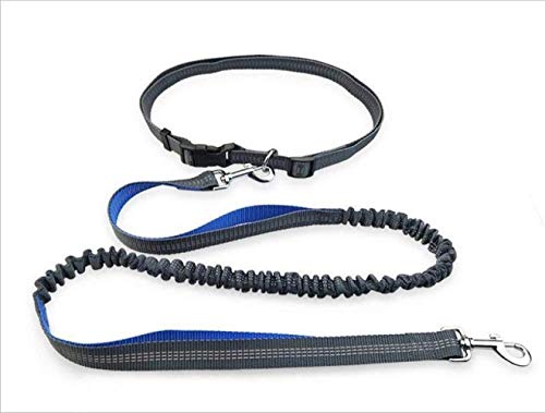 Gris Tracción Del Animal Doméstico De La Cuerda De Tracción Portátil Deportes Cinta Andadora Trotar Nylon Cuerda Del Perro Material De La Cuerda De Tracción Azul Banda Reflectante Polivalente Adecuado Gris Tracción Del Animal Doméstico De La Cuerda De Tracción Portátil Deportes Cinta Andadora Trotar Nylon Cuerda Del Perro Material De La Cuerda De Tracción Azul Banda Reflectante Polivalente Adecuado