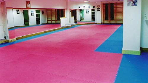 Grupo Contact 10 m. Cuadrados de Tatami (Rojo/Azul) de Grosor 2 cm. Medida 1 x 1 m. Grupo Contact 10 m. Cuadrados de Tatami (Rojo/Azul) de Grosor 2 cm. Medida 1 x 1 m.
