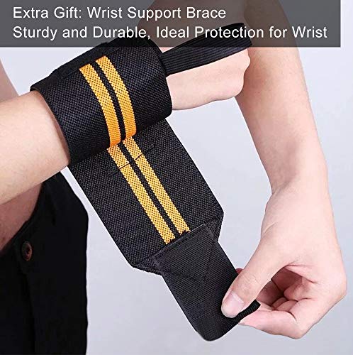 GZW-Shop Bandas de Resistencia Gomas Elásticas Fuerza Entrenamiento de piernas y glúteos Fitness musculación Cintas para Pilates Yoga, Ballet, Gimnasio y Ejercicio en casa