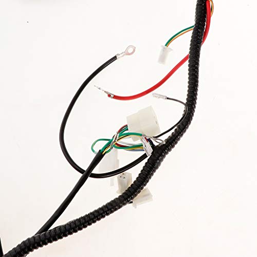 H HILABEE 1 pieza ATV Arnés Estator Bobina CDI Arnés CDI Bobina de Encendido Estator CDI Bobina para Atv Quad Dirt Bike H HILABEE 1 pieza ATV Arnés Estator Bobina CDI Arnés CDI Bobina de Encendido Estator CDI Bobina para Atv Quad Dirt Bike