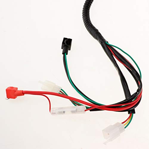 H HILABEE 1 pieza ATV Arnés Estator Bobina CDI Arnés CDI Bobina de Encendido Estator CDI Bobina para Atv Quad Dirt Bike H HILABEE 1 pieza ATV Arnés Estator Bobina CDI Arnés CDI Bobina de Encendido Estator CDI Bobina para Atv Quad Dirt Bike