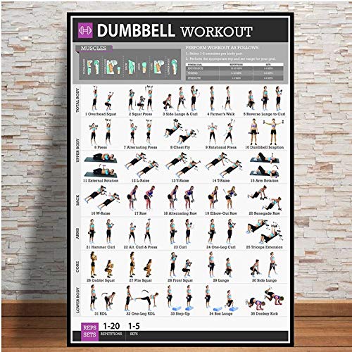 hahastore Póster-Ejercicio con Mancuernas Ejercicio de Culturismo Tabla de Peso Yoga Gimnasio Póster Impresión Mural Arte Pintura Mural Habitación Decoración del hogar 50x70 CM (Sin Marco) hahastore Póster-Ejercicio con Mancuernas Ejercicio de Culturismo Tabla de Peso Yoga Gimnasio Póster Impresión Mural Arte Pintura Mural Habitación Decoración del hogar 50x70 CM (Sin Marco)