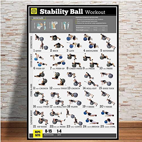hahastore Póster-Ejercicio con Mancuernas Ejercicio de Culturismo Tabla de Peso Yoga Gimnasio Póster Impresión Mural Arte Pintura Mural Habitación Decoración del hogar 50x70 CM (Sin Marco) hahastore Póster-Ejercicio con Mancuernas Ejercicio de Culturismo Tabla de Peso Yoga Gimnasio Póster Impresión Mural Arte Pintura Mural Habitación Decoración del hogar 50x70 CM (Sin Marco)