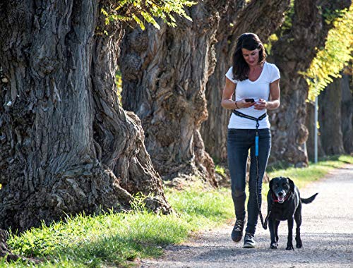 Happilax Correa Perro Correr Manos Libres, Extensible con Cintura Ajustable para Cargas hasta 100kg Happilax Correa Perro Correr Manos Libres, Extensible con Cintura Ajustable para Cargas hasta 100kg