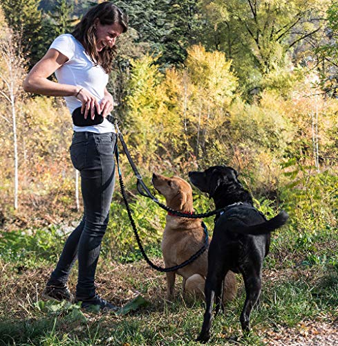 Happilax Correa Perro Correr Manos Libres, Extensible con Cintura Ajustable para Cargas hasta 100kg Happilax Correa Perro Correr Manos Libres, Extensible con Cintura Ajustable para Cargas hasta 100kg
