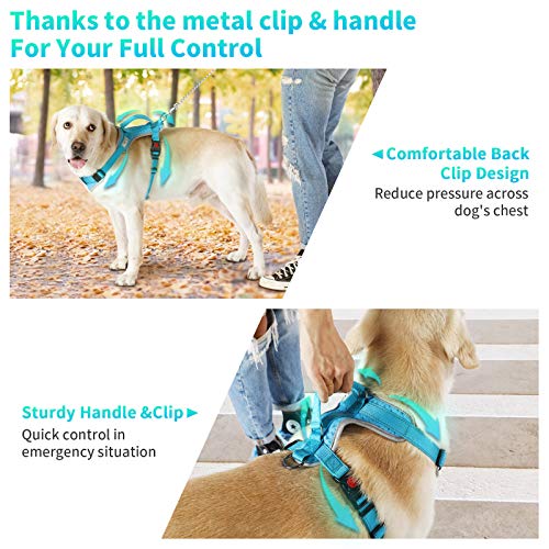 HAPPY HACHI Arnes Perro Chalecos Reflectantes Perros Pequeño Mediano Grande Ligero con Mango Nylon para Caminar Entrenamiento(S Azul) HAPPY HACHI Arnes Perro Chalecos Reflectantes Perros Pequeño Mediano Grande Ligero con Mango Nylon para Caminar Entrenamiento(S Azul)