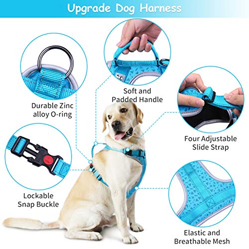 HAPPY HACHI Arnes Perro Chalecos Reflectantes Perros Pequeño Mediano Grande Ligero con Mango Nylon para Caminar Entrenamiento(S Azul)