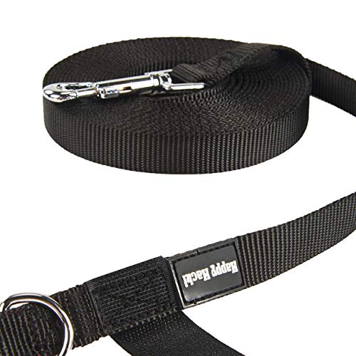HAPPY HACHI Correa para Perro Larga Correas Adiestramiento para Perros Mediano Grande con Asa Acolchada Ideal para Paseo Mascota Entrenamiento(Longitud 6m, Nero) HAPPY HACHI Correa para Perro Larga Correas Adiestramiento para Perros Mediano Grande con Asa Acolchada Ideal para Paseo Mascota Entrenamiento(Longitud 6m, Nero)