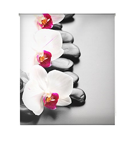 HappyStor HSCZ1465 Estor Enrollable Estampado Digital Zen Tejido TraslĂșcido Medida Total Estor:125x250 (**Solo Ancho Tela:121-122cm.**) HappyStor HSCZ1465 Estor Enrollable Estampado Digital Zen Tejido TraslĂșcido Medida Total Estor:125x250 (**Solo Ancho Tela:121-122cm.**)