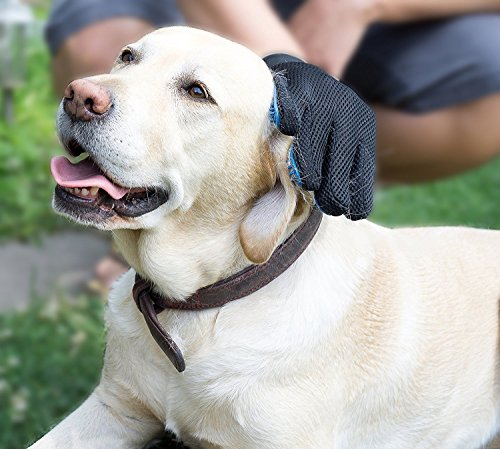 HEQUN Guante de Masaje para Mascotas, Cepillo de Deshedding Suave, para Perros Masaje para Mascotas Perros Gatos Herramienta de Masaje con Diseño Mejorado de Cinco Dedos (Azul)